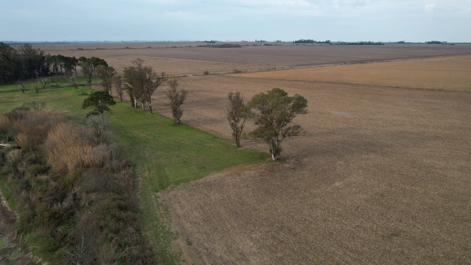 Vista aérea de distintos ambientes dentro de un establecimiento rural