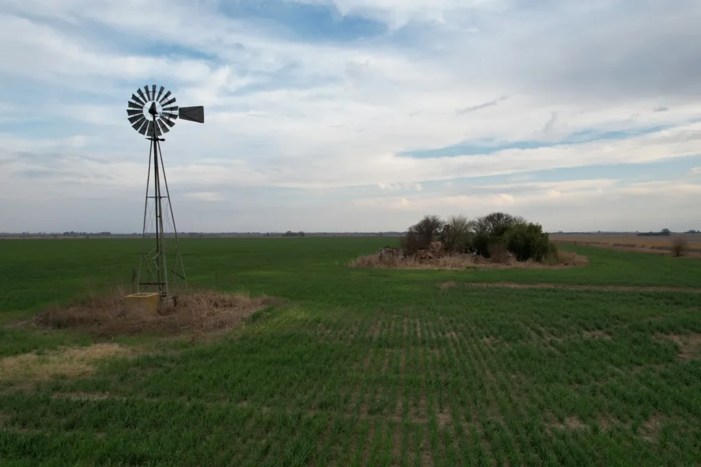 Molino, monte y lote agrícola dentro de un establecimiento rural